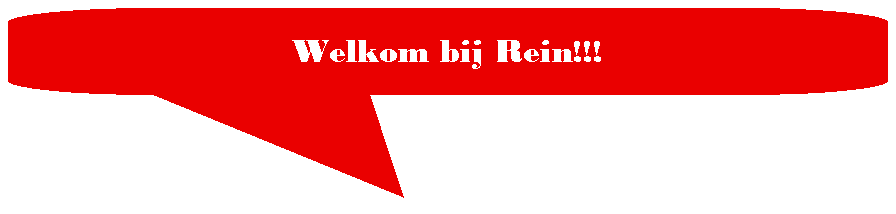 Toelichting met afgeronde rechthoek: Welkom bij Rein!!!
