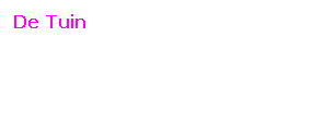 Tekstvak: De Tuin
Eind Maart: de tuin wordt uitgeruimd en uitgegraven
Half April: Tegels weggehaald, verder opgeruimd en glad gemaakt
Eind April: de tegels worden gelegd
Zomer: best wel af!
